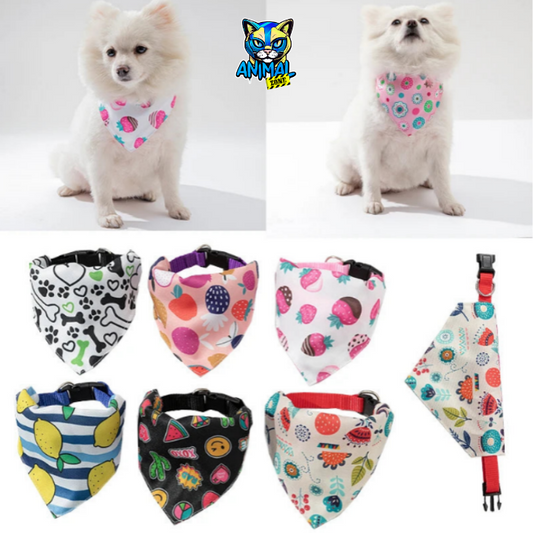 Collar bandana ajustable